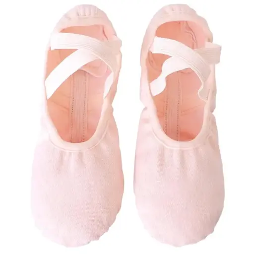 Zapatillas de lona elastizada adulto Dance Shop bns01